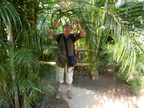 29 - Man fuehlte sich wirklich wie im Urwald.jpg